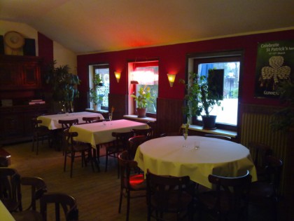 Foto: Rotbuche